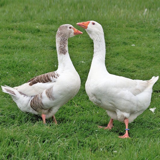 West of England